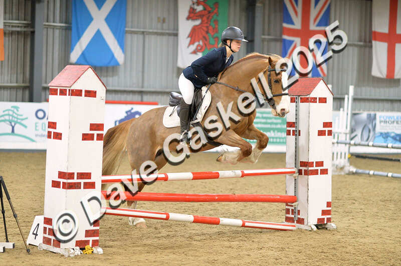 D4N_5841 - NorthcoteSun16thNov'25 Unaff.Jumping AvailableUntil16thDec'25