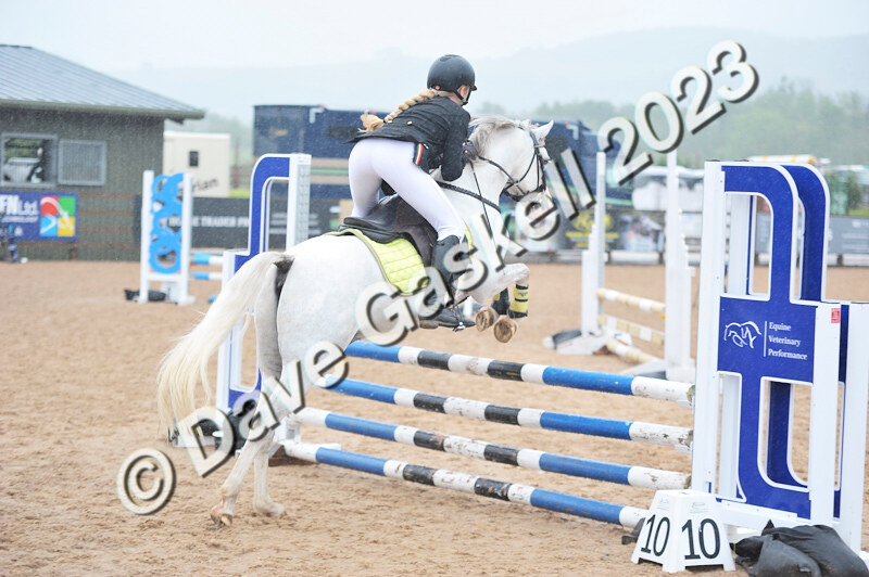 D8D_7282 - Juniors