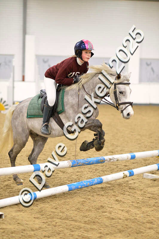 D4N_6746 - NorthcoteSat8thDec'25 XmasShowJumping AvailableUntil6thJan'26