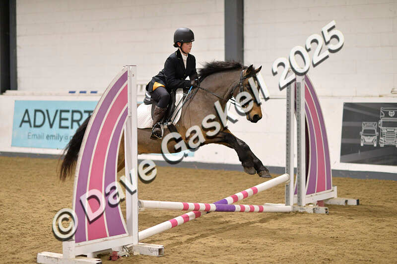 D4N_4596 - NorthcoteSun26thOct'25 Unaff.Jumping AvailableUntil28thNov'25