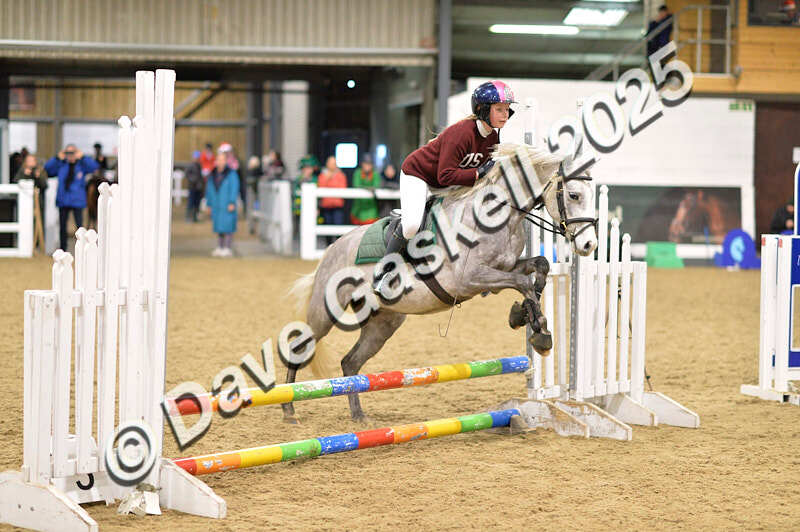 D4N_6743 - NorthcoteSat8thDec'25 XmasShowJumping AvailableUntil6thJan'26