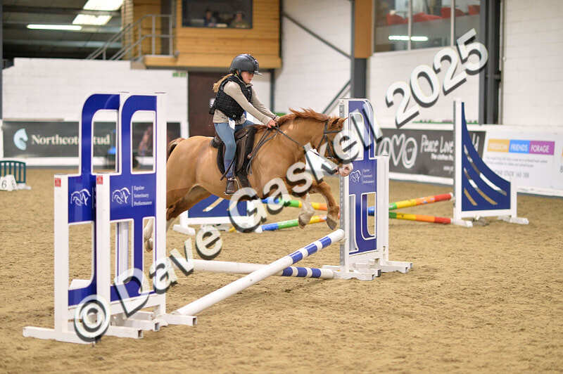 D4N_4683 - NorthcoteSun26thOct'25 Unaff.Jumping AvailableUntil28thNov'25