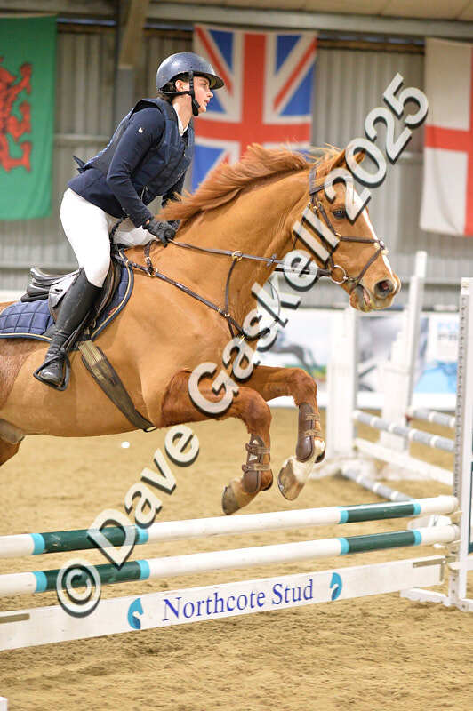 D4N_7177 - NorthcoteSat8thDec'25 XmasShowJumping AvailableUntil6thJan'26