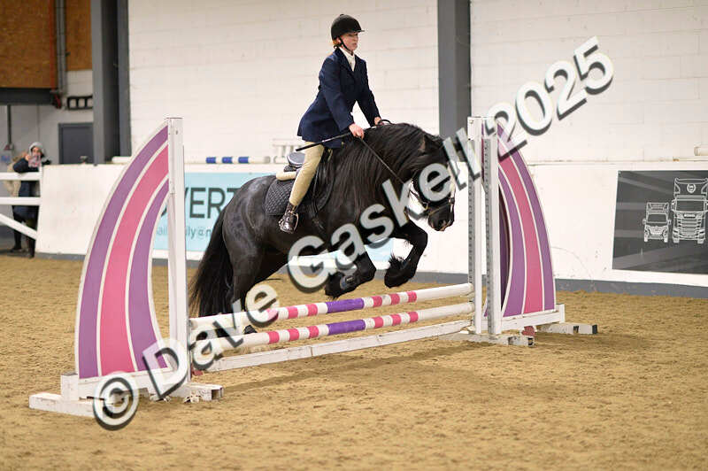 D4N_4799 - NorthcoteSun26thOct'25 Unaff.Jumping AvailableUntil28thNov'25