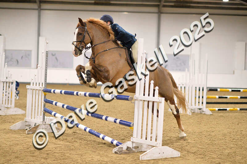 D4N_5452 - NorthcoteSun26thOct'25 Unaff.Jumping AvailableUntil28thNov'25