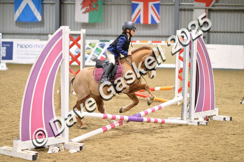 D4N_5509 - NorthcoteSun16thNov'25 Unaff.Jumping AvailableUntil16thDec'25