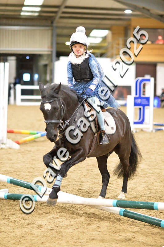 D4N_6612 - NorthcoteSat8thDec'25 XmasShowJumping AvailableUntil6thJan'26