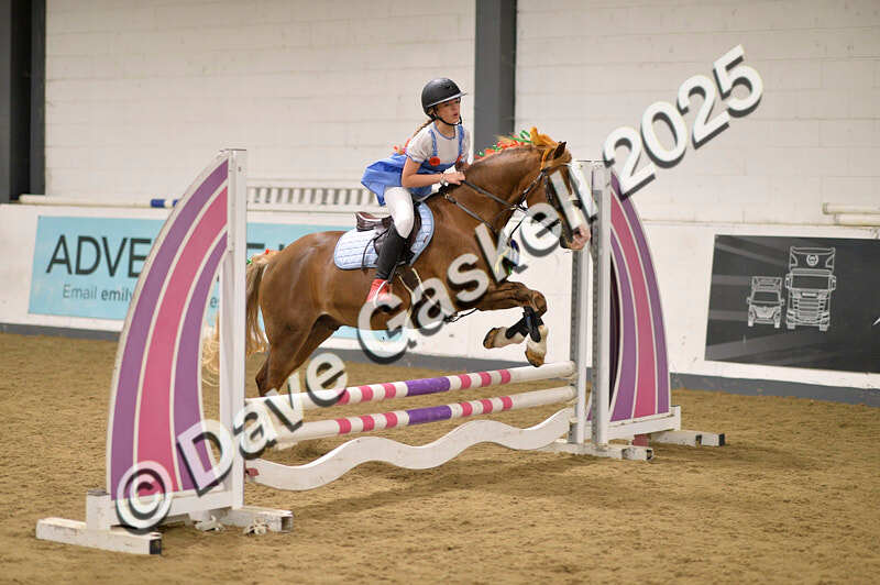 D4N_4959 - NorthcoteSun26thOct'25 Unaff.Jumping AvailableUntil28thNov'25