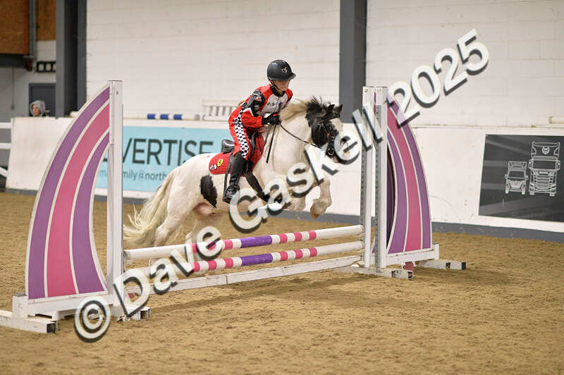 D4N_4785 - NorthcoteSun26thOct'25 Unaff.Jumping AvailableUntil28thNov'25