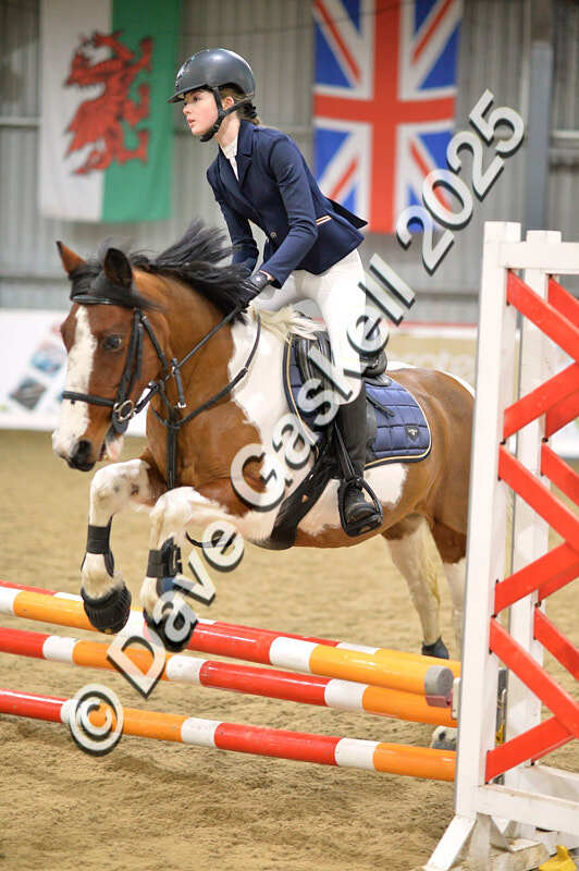 D4N_5630 - NorthcoteSun16thNov'25 Unaff.Jumping AvailableUntil16thDec'25