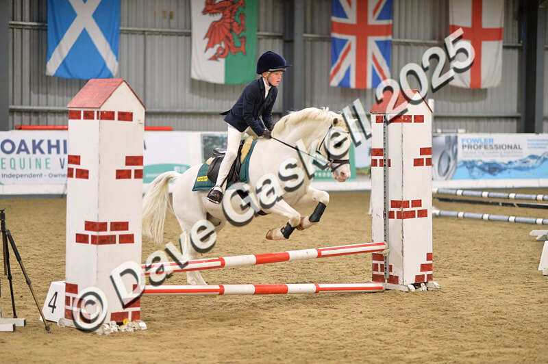 D4N_5578 - NorthcoteSun16thNov'25 Unaff.Jumping AvailableUntil16thDec'25