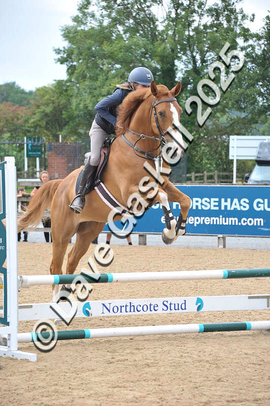 D8F_3688 - NorthcoteSat9thAug'25 Unaff.ShowJumping AvailableUntil9thSept25