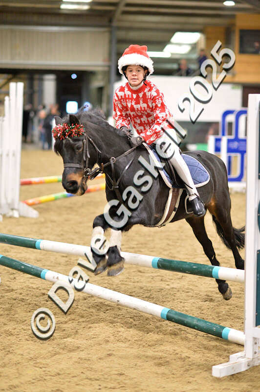 D4N_6761 - NorthcoteSat8thDec'25 XmasShowJumping AvailableUntil6thJan'26