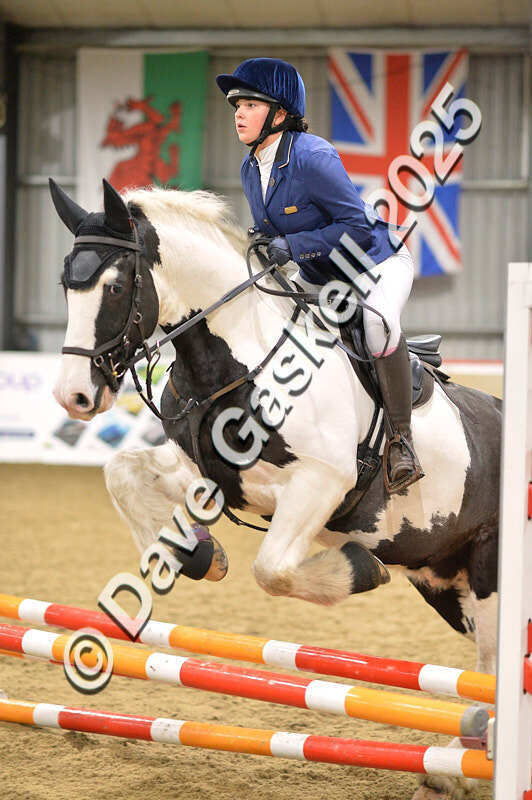 D4N_6042 - NorthcoteSun16thNov'25 Unaff.Jumping AvailableUntil16thDec'25