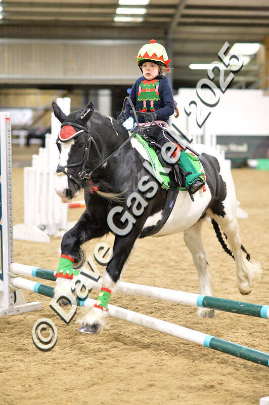 D4N_6667 - NorthcoteSat8thDec'25 XmasShowJumping AvailableUntil6thJan'26