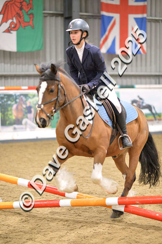 D4N_4705 - NorthcoteSun26thOct'25 Unaff.Jumping AvailableUntil28thNov'25