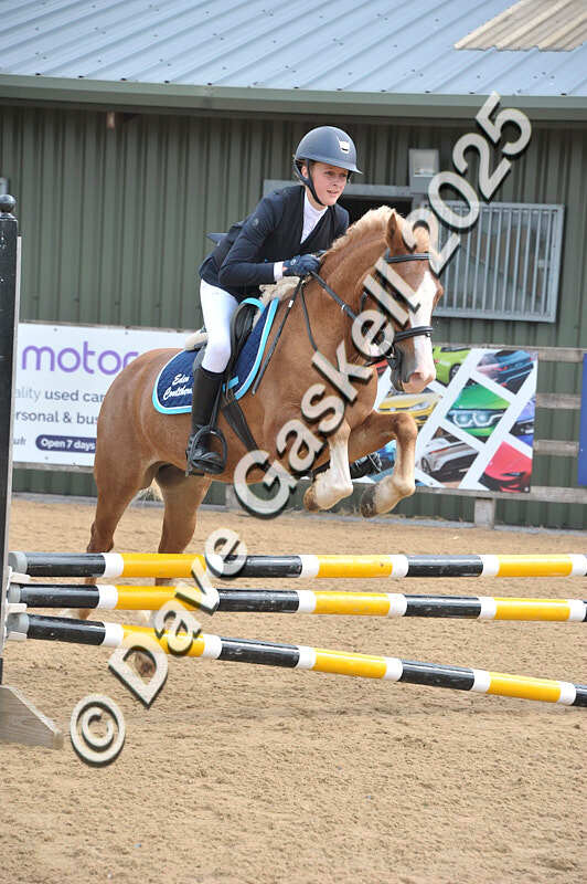 D8F_3519 - NorthcoteSat9thAug'25 Unaff.ShowJumping AvailableUntil9thSept25