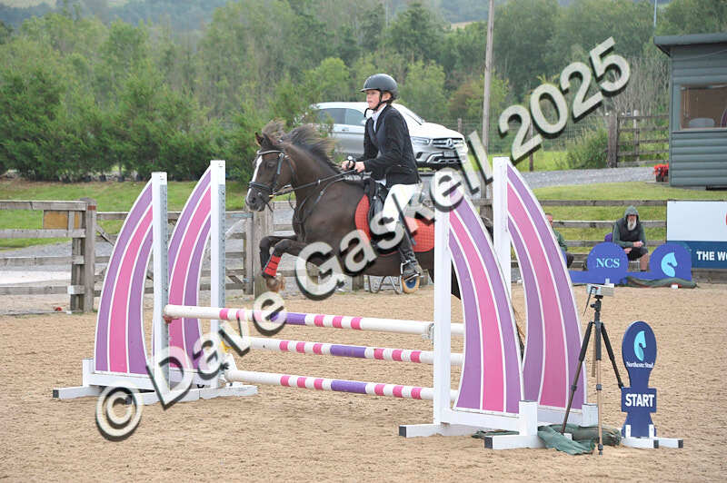 D8F_3489 - NorthcoteSat9thAug'25 Unaff.ShowJumping AvailableUntil9thSept25