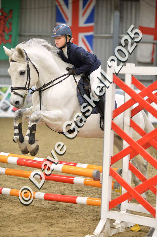 D4N_5690 - NorthcoteSun16thNov'25 Unaff.Jumping AvailableUntil16thDec'25