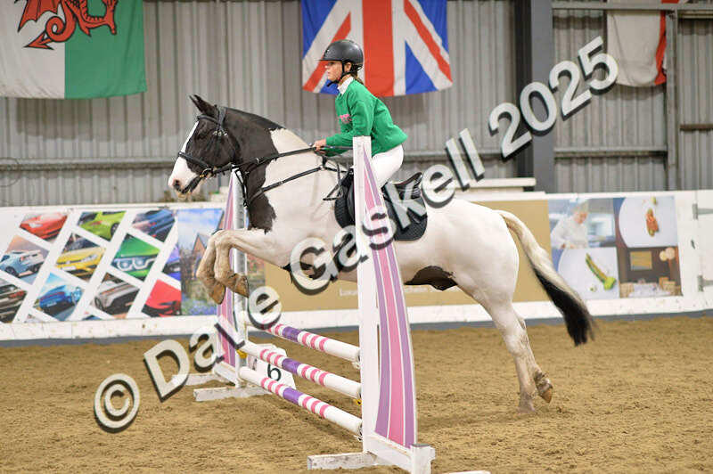 D4N_6916 - NorthcoteSat8thDec'25 XmasShowJumping AvailableUntil6thJan'26