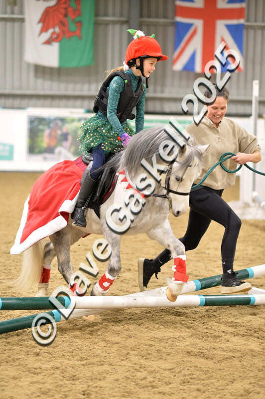 D4N_6581 - NorthcoteSat8thDec'25 XmasShowJumping AvailableUntil6thJan'26