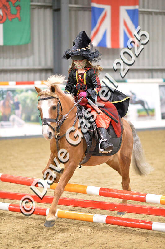 D4N_4807 - NorthcoteSun26thOct'25 Unaff.Jumping AvailableUntil28thNov'25