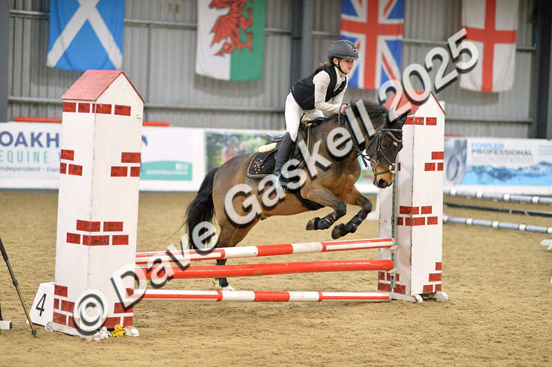 D4N_5627 - NorthcoteSun16thNov'25 Unaff.Jumping AvailableUntil16thDec'25