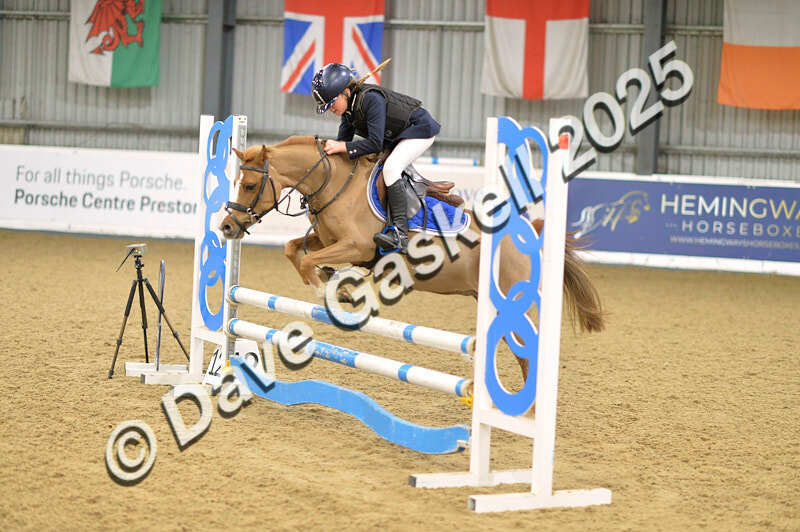 D4N_5701 - NorthcoteSun16thNov'25 Unaff.Jumping AvailableUntil16thDec'25