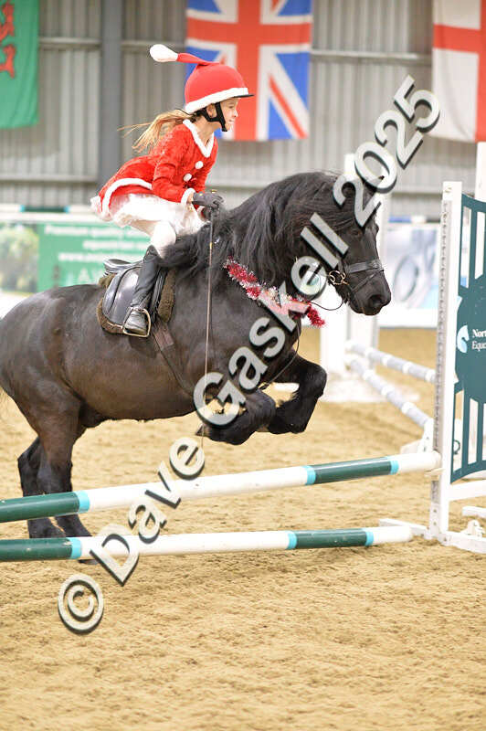 D4N_6717 - NorthcoteSat8thDec'25 XmasShowJumping AvailableUntil6thJan'26