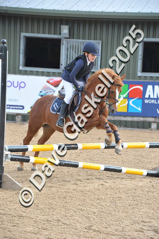 D8F_3456 - NorthcoteSat9thAug'25 Unaff.ShowJumping AvailableUntil9thSept25