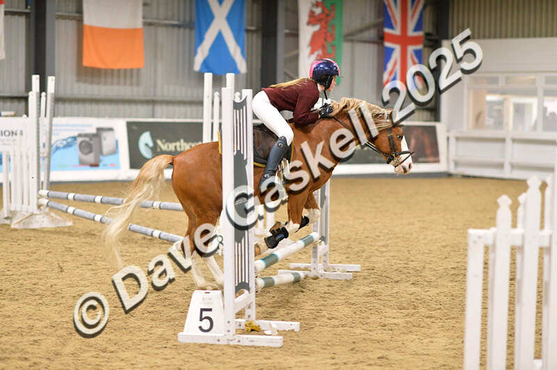 D4N_6657 - NorthcoteSat8thDec'25 XmasShowJumping AvailableUntil6thJan'26