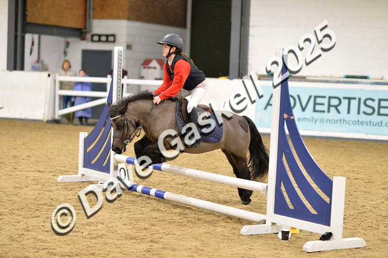 D4N_6682 - NorthcoteSat8thDec'25 XmasShowJumping AvailableUntil6thJan'26