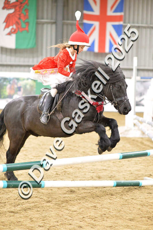 D4N_6752 - NorthcoteSat8thDec'25 XmasShowJumping AvailableUntil6thJan'26
