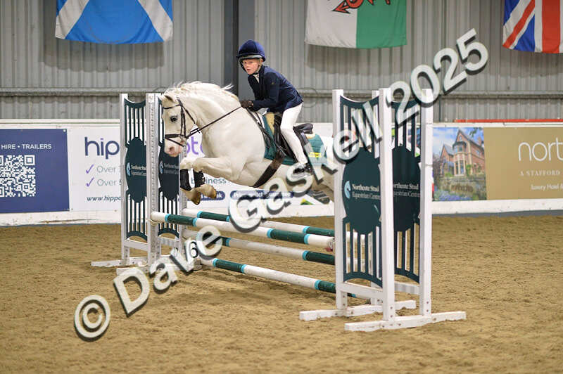 D4N_5622 - NorthcoteSun16thNov'25 Unaff.Jumping AvailableUntil16thDec'25