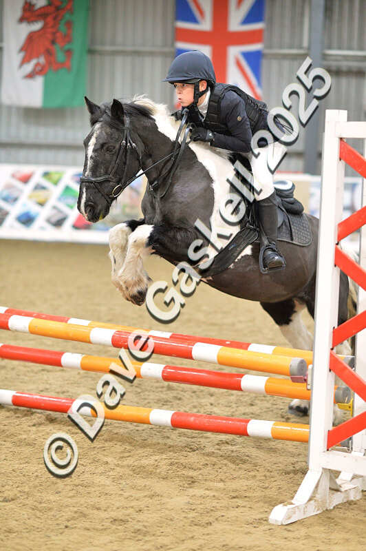 D4N_5719 - NorthcoteSun16thNov'25 Unaff.Jumping AvailableUntil16thDec'25