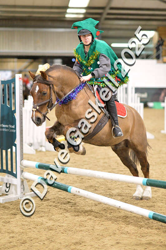 D4N_6804 - NorthcoteSat8thDec'25 XmasShowJumping AvailableUntil6thJan'26