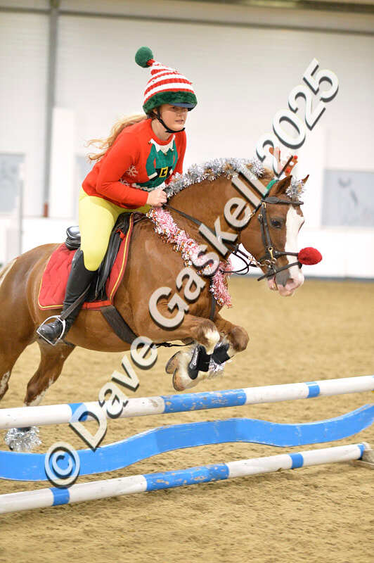 D4N_7115 - NorthcoteSat8thDec'25 XmasShowJumping AvailableUntil6thJan'26