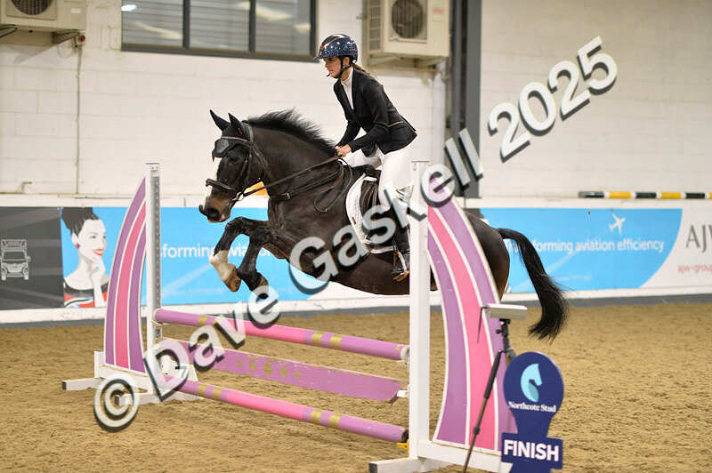 D4N_5780 - NorthcoteSun16thNov'25 Unaff.Jumping AvailableUntil16thDec'25