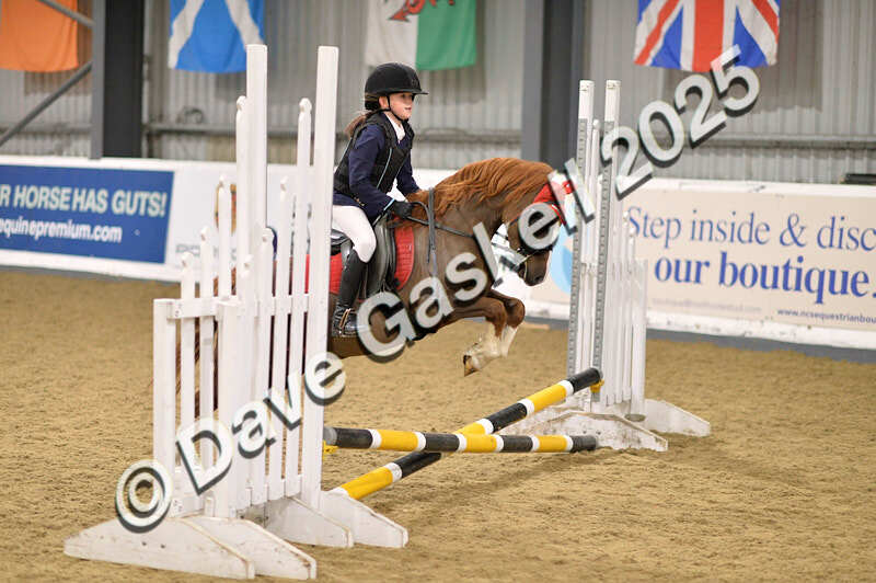 D4N_4614 - NorthcoteSun26thOct'25 Unaff.Jumping AvailableUntil28thNov'25