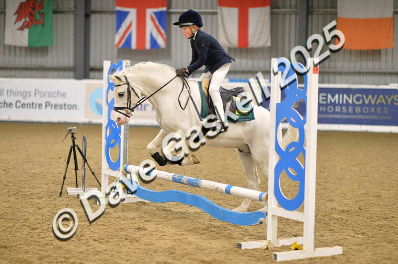 D4N_5582 - NorthcoteSun16thNov'25 Unaff.Jumping AvailableUntil16thDec'25