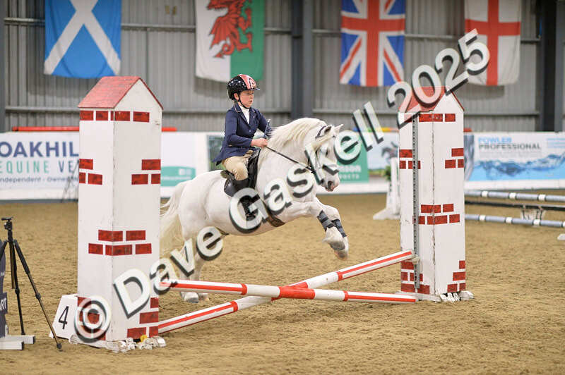 D4N_5522 - NorthcoteSun16thNov'25 Unaff.Jumping AvailableUntil16thDec'25