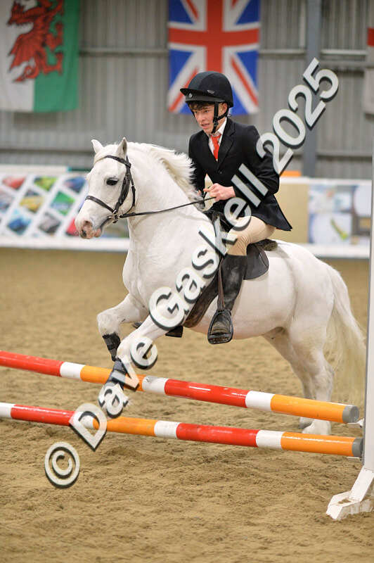 D4N_5538 - NorthcoteSun16thNov'25 Unaff.Jumping AvailableUntil16thDec'25