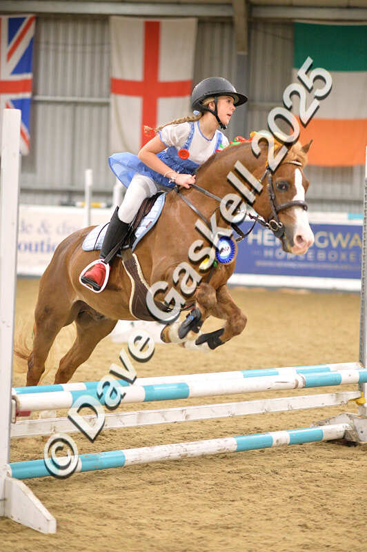 D4N_4960 - NorthcoteSun26thOct'25 Unaff.Jumping AvailableUntil28thNov'25