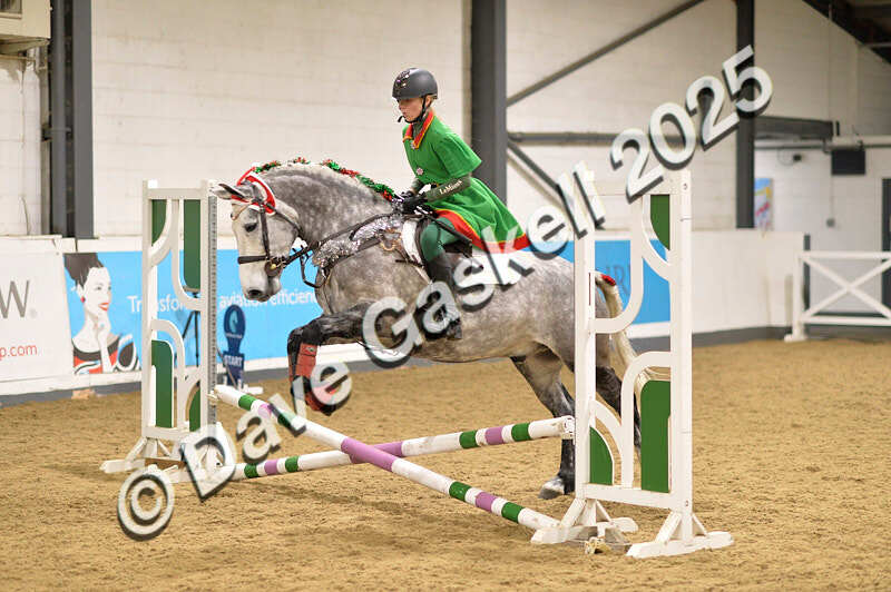 D4N_6788 - NorthcoteSat8thDec'25 XmasShowJumping AvailableUntil6thJan'26