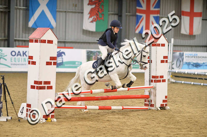 D4N_5603 - NorthcoteSun16thNov'25 Unaff.Jumping AvailableUntil16thDec'25