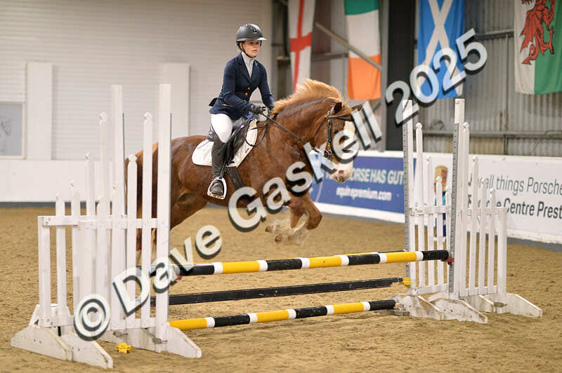 D4N_5058 - NorthcoteSun26thOct'25 Unaff.Jumping AvailableUntil28thNov'25