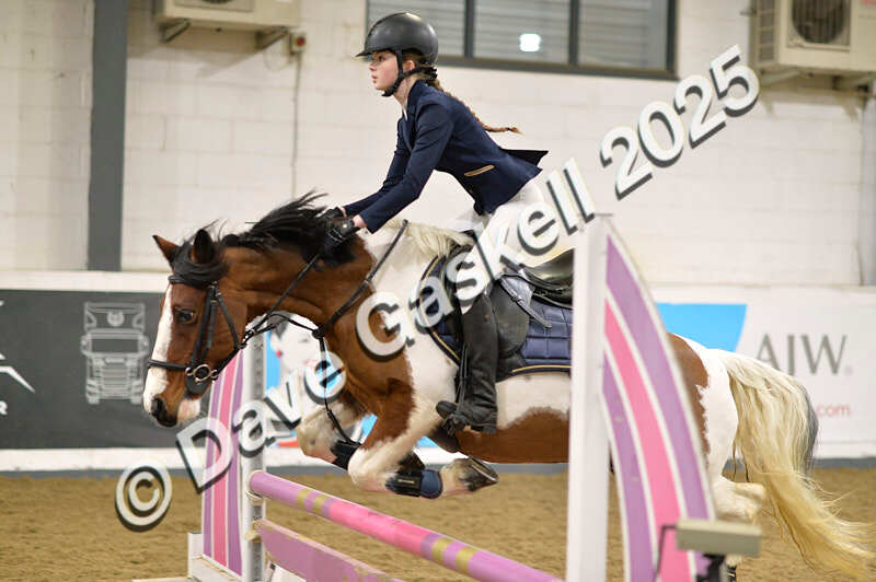 D4N_5733 - NorthcoteSun16thNov'25 Unaff.Jumping AvailableUntil16thDec'25