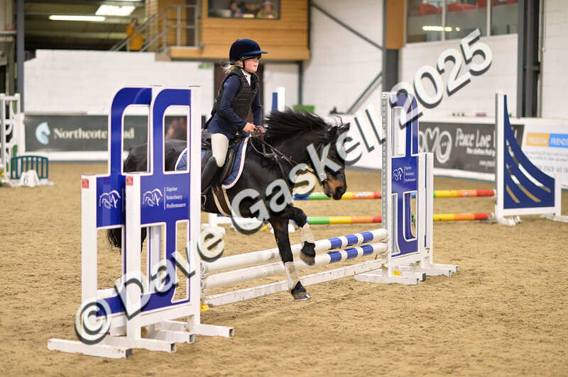 D4N_4782 - NorthcoteSun26thOct'25 Unaff.Jumping AvailableUntil28thNov'25