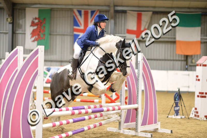 D4N_6077 - NorthcoteSun16thNov'25 Unaff.Jumping AvailableUntil16thDec'25