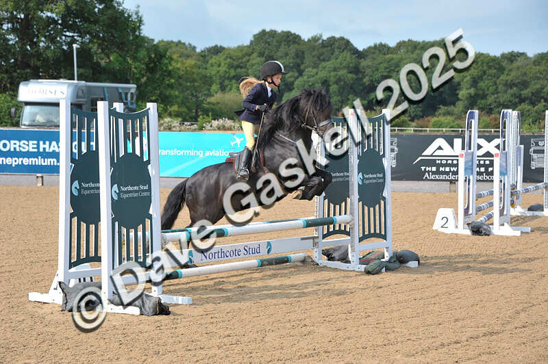 D8F_3453 - NorthcoteSat9thAug'25 Unaff.ShowJumping AvailableUntil9thSept25